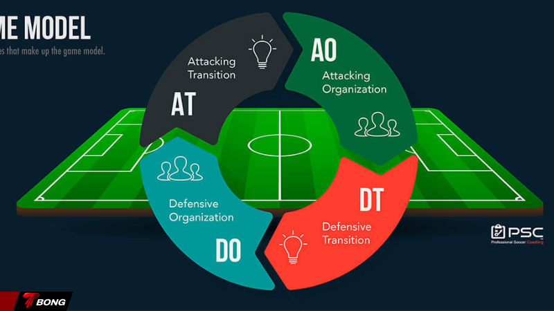 mô hình Tactical Periodization